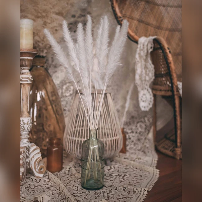 A Product Approved By Designers And Loved By Celebrities Get Your Pampas Grass From You Floral