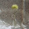 Green Mums Large Size Flower Delivery