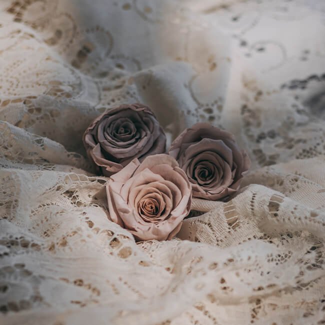 Khaki Preserved Roses Flower Delivery