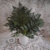 Leatherleaf Fern Flower Delivery 1