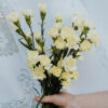 Pale Yellow Mini Carnations Florist Near Me