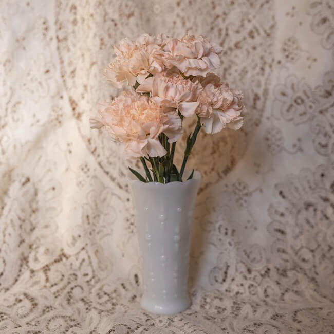 Peach Carnation Standard3