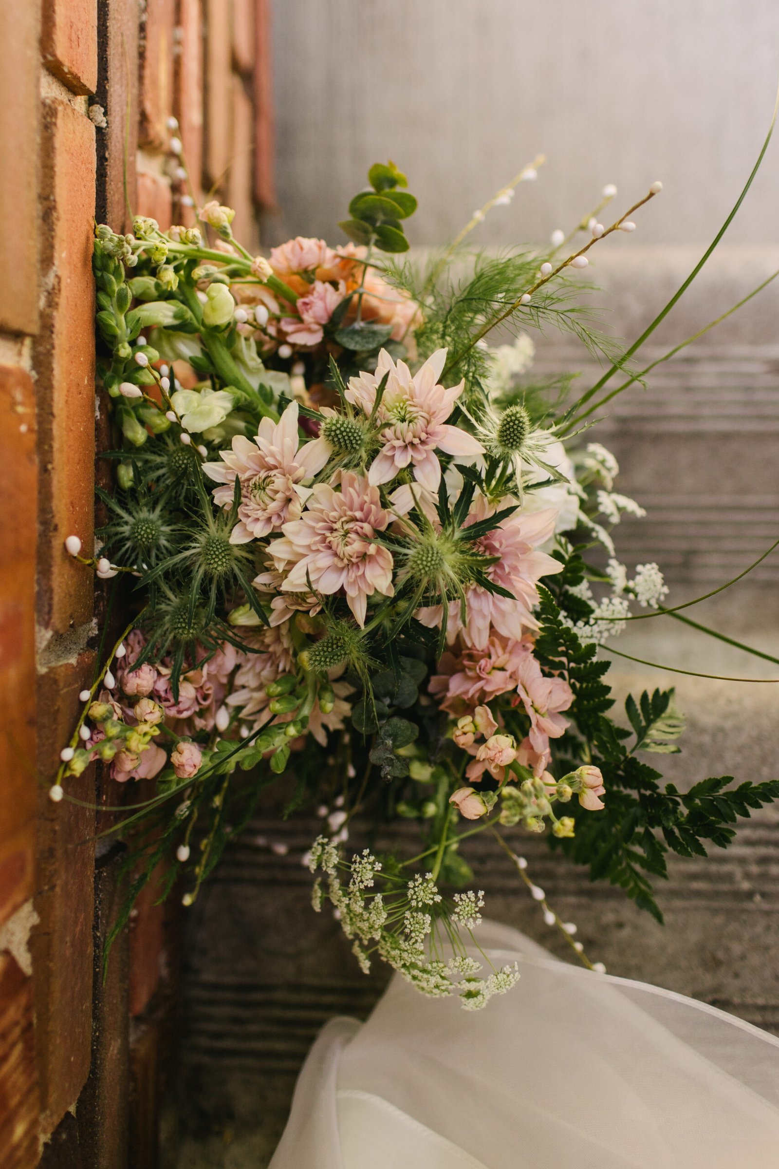 Pink Spray Mum