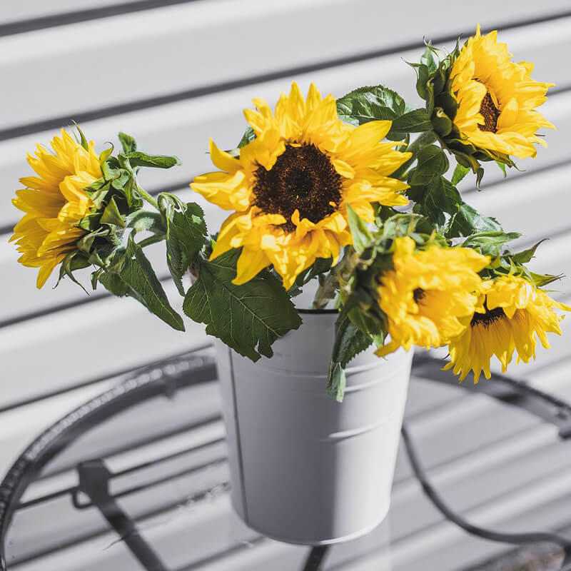 Sunflowers Florist Calgary