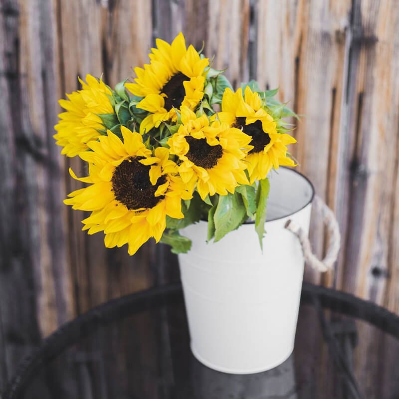 Sunflowers Flower Delivery Vancouver