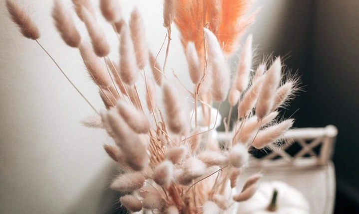 The Cutest Element To Your Floral Arrangement Fluffy Bunny Tails