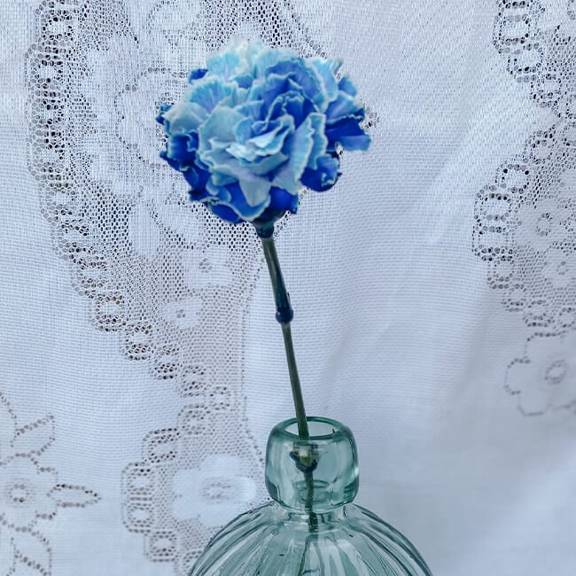 Tinted Blue Carnation Standard2