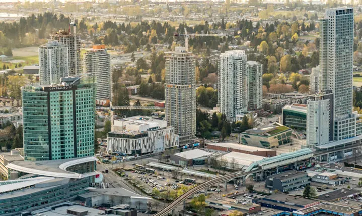 What You Should Expect When Ordering Flowers In Surrey British Columbia