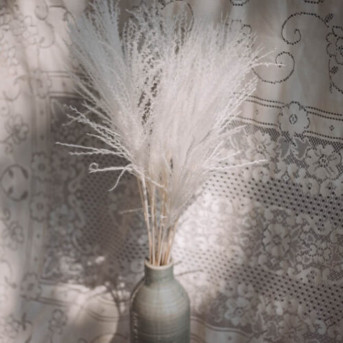 White Miscanthus Flower Delivery