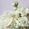 White Roses Spray Flower Delivery