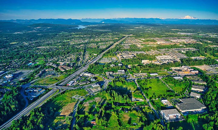 You Floral Sourcing Unique Flowers For You In Langley British Columbia