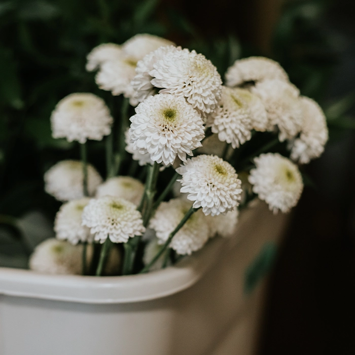 You Floral daisy mum