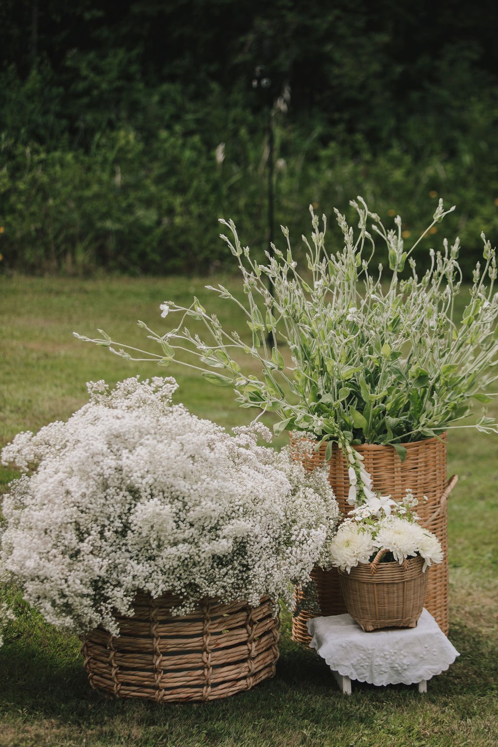 babies breath () babies breath ()