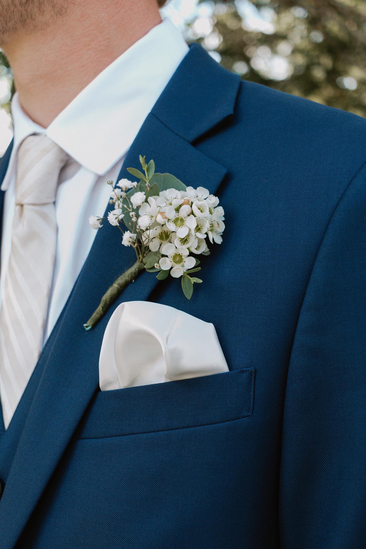 bouts white waxflower