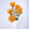 youfloral pincushion orange