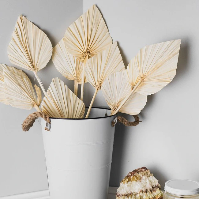Bring The Tropics To Your Home With Dried Palm Spears