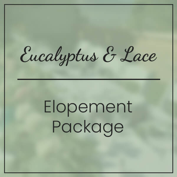 eucalyptus lace elopement package