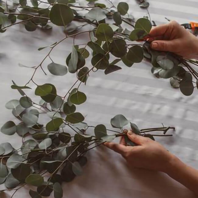 Eucalyptus Garland DIY Prepare Greenery