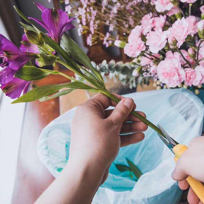 Teacup arrangement