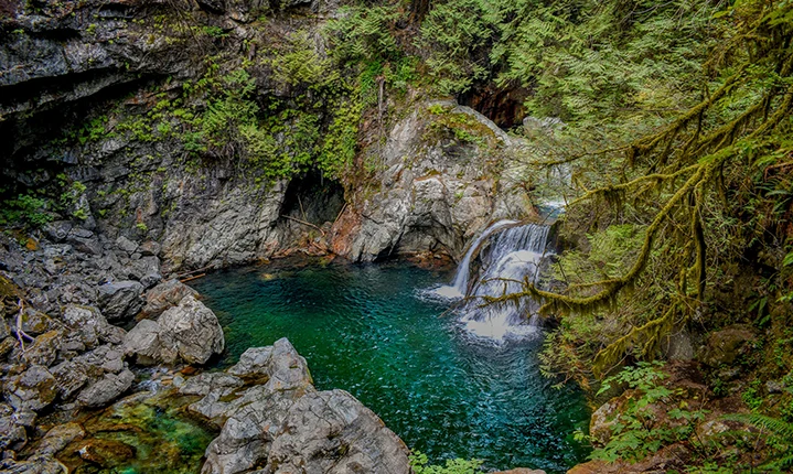 Top Attractions In North Vancouver Lynn Canyon Park