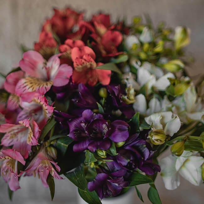 Alstromeria Florist Calgary