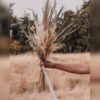 The Claudette DIY Wedding Flowers
