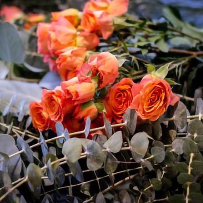 Unpacking Your Flowers