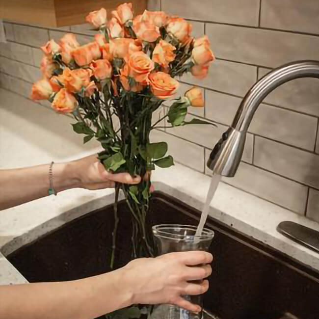 Unpacking Your Flowers Hydrate