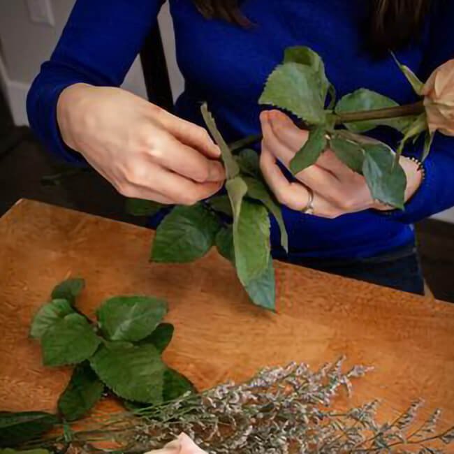 Unpacking Your Flowers Remove Foliage