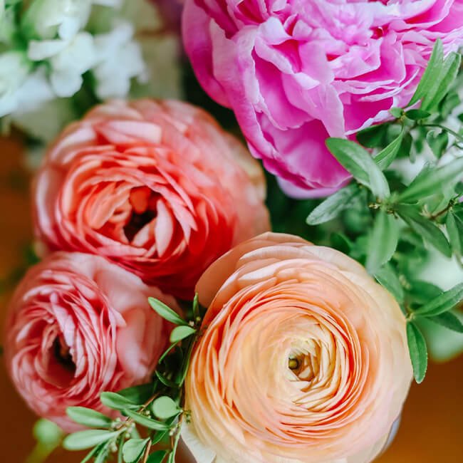 ranunculus and roses