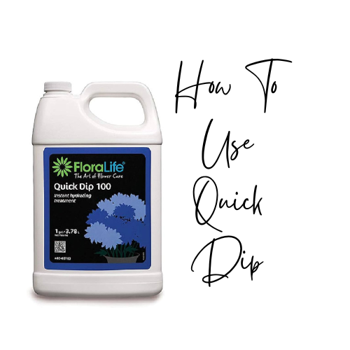 How To Use Quick Dip To Make Your Flowers Last Longer