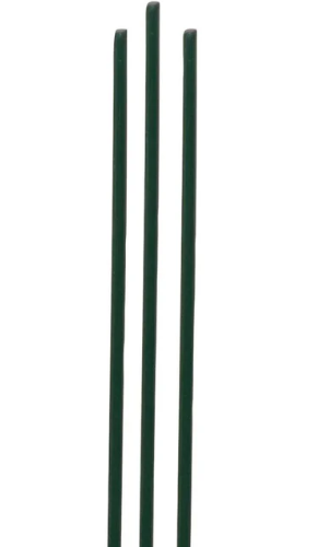 oasis wire