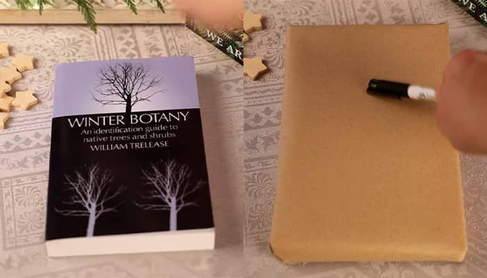 step Wrap the Book step Wrap the Book