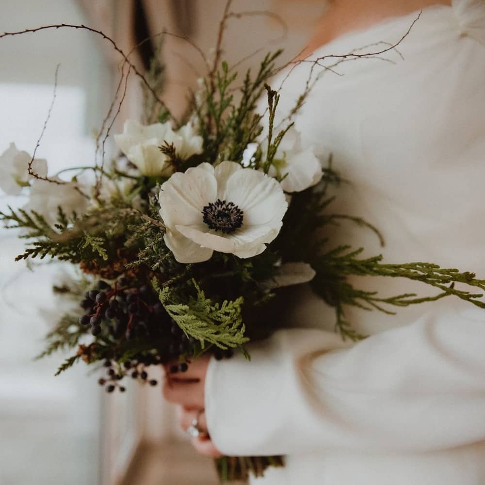 anemone black panda you floral anemone black panda you floral