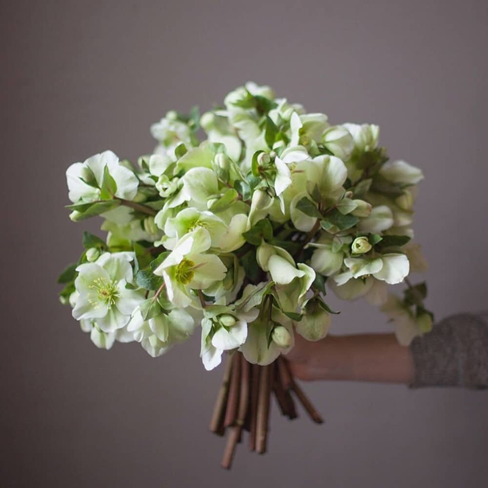 winter wedding flowers hellebores winter wedding flowers hellebores