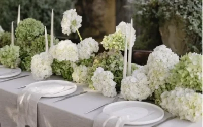 How to Process Hydrangeas